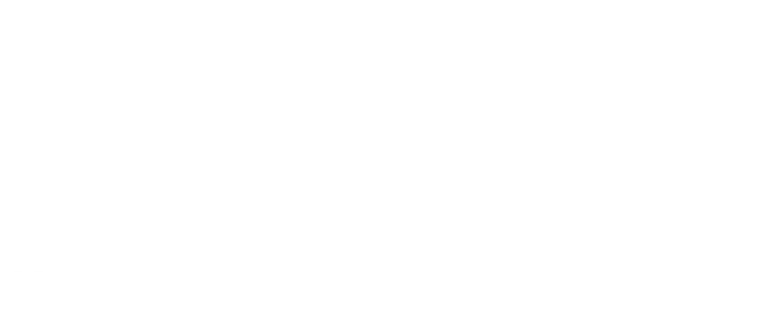 Logo KRYZOX Technologies